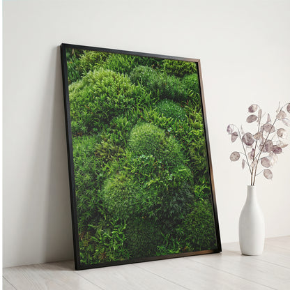 Lush Green Living Moss Art Print - Biophilic Nature