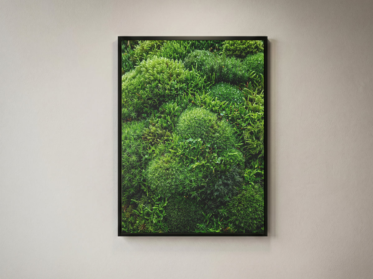 Lush Green Living Moss Art Print - Biophilic Nature