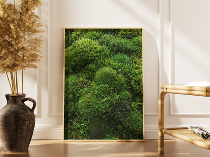 Lush Green Living Moss Art Print - Biophilic Nature