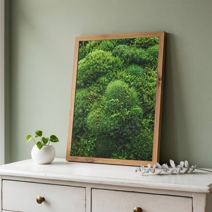 Lush Green Living Moss Art Print - Biophilic Nature