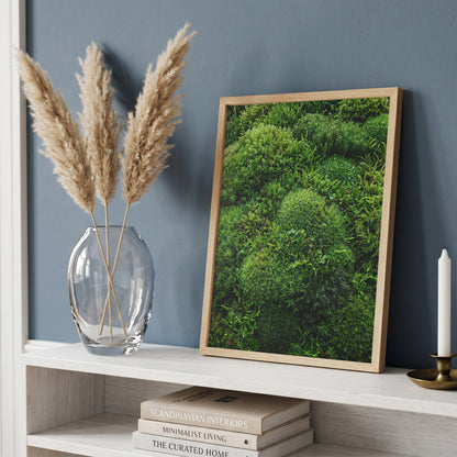 Lush Green Living Moss Art Print - Biophilic Nature