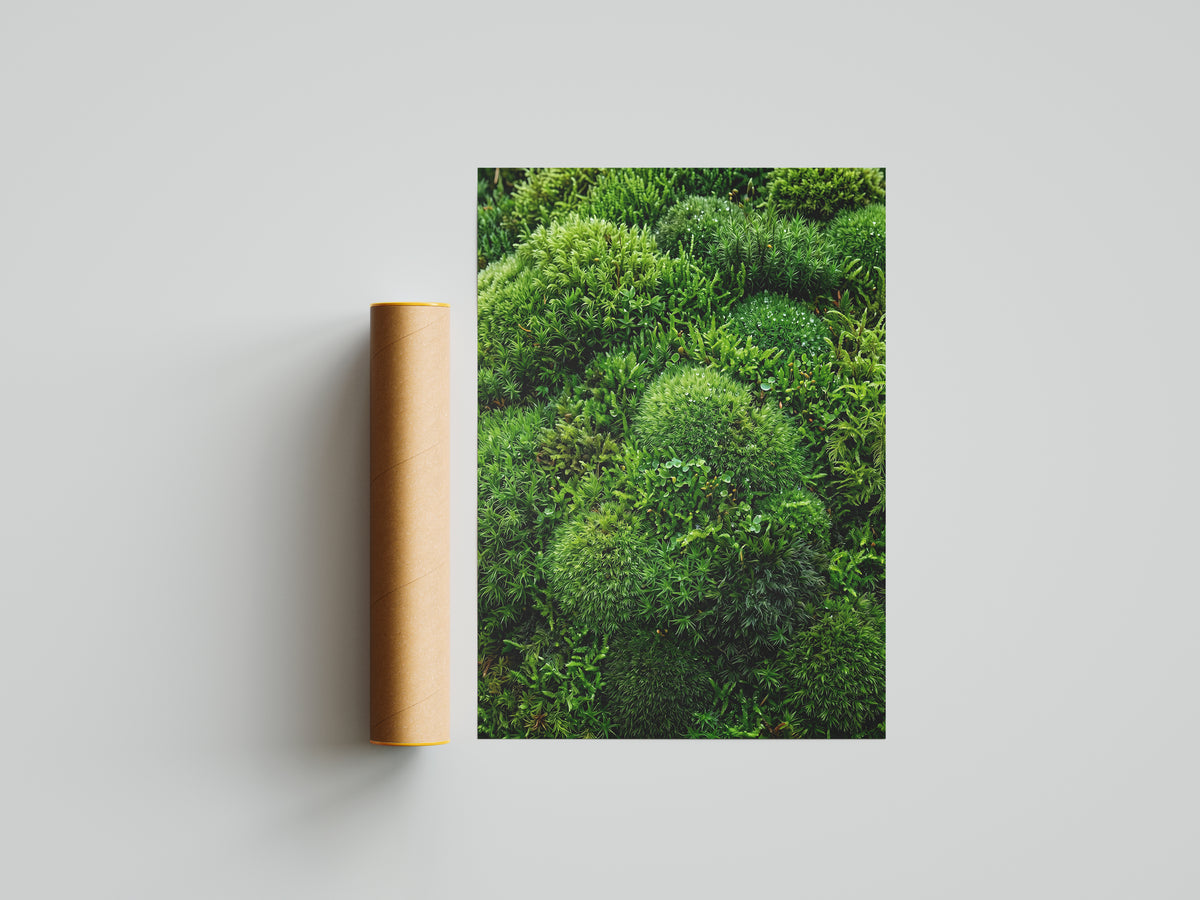 Lush Green Living Moss Art Print - Biophilic Nature