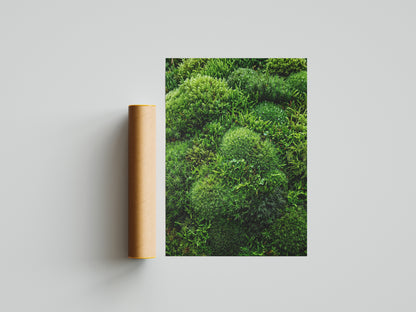 Lush Green Living Moss Art Print - Biophilic Nature